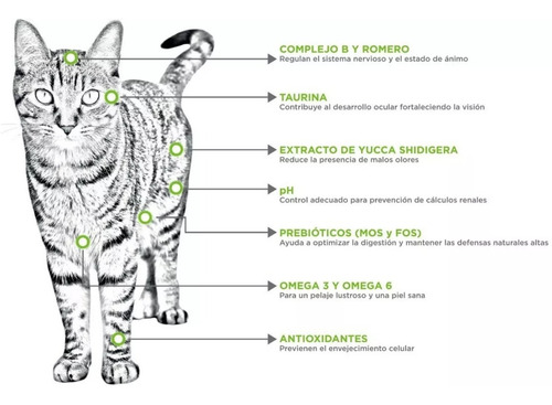 Alimento Nupec Nutrición Científica Consciente Indoor para gato adulto sabor pollo, salmon y arroz en bolsa de 3kg