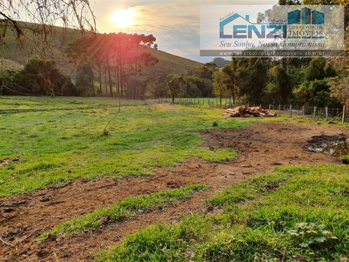Imagem 9 de 28 de Sobrados À Venda Em Toledo/mg - Compre O Seu Sobrados Aqui! - 1479953