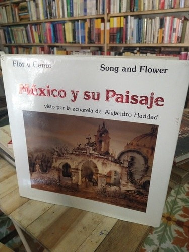 Mexico Y Su Pasaije - Alejandro Haddad