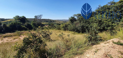 Imagem 3 de 15 de Chácara À Venda Em Alexânia-go - Ch4232335
