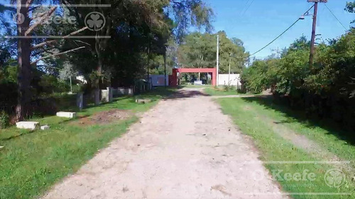 Imagen 4 de 15 de Lote En Venta Coronel Brandsen - Amplios Lotes Oportunidad !!!