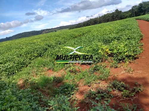 Imagem 2 de 3 de Fazenda Uberlândia, Agricultura, Pecuária, 101.64 Ha, R$ 41.322,00 Por Ha - 405