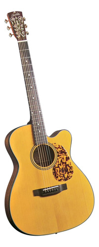 Blueridge Br-140 Guitarra