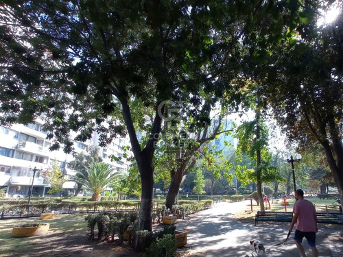 Dúplex En Sector Residencial Carlos Antúnez