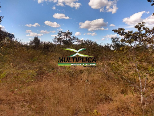 Imagem 9 de 15 de Fazenda 102,22 Hectares, R$ 2.788,10 Ha, Santa Fé De Minas Mg, Pecuária, - 442