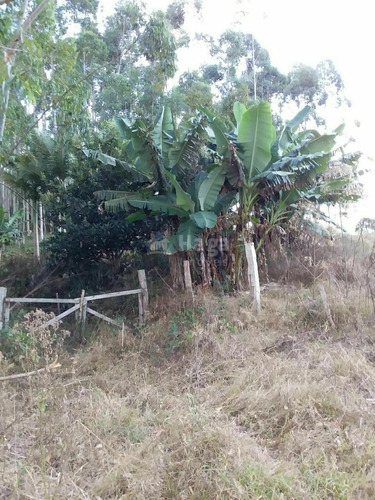 Imagem 6 de 10 de Chácara À Venda No Bairro Chapadão Figueira - Botuverá/sc - 1943c