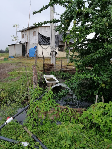 Imagen 4 de 5 de Terreno Finca Y Casa Rupestre 6 Hectáreas Cerca A Guayaquil