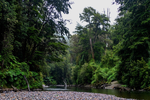 Parcelas En Reserva RÃo San Pedro, Preserva Tu Futuro.