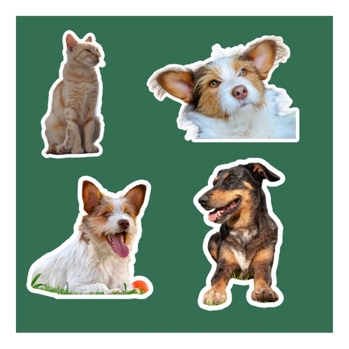 Sticker  De Tus Mascotas