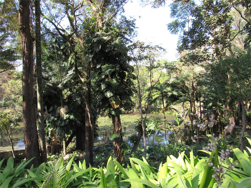 Imagem 10 de 21 de Terreno Dentro Da Chácara Flora - Reo507663