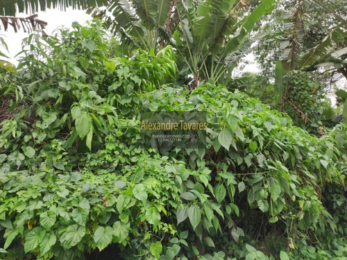 Imagem 4 de 4 de Excelente Terreno Para Investimento! Praia De Maresias / Sp. - Te00020 - 71014276