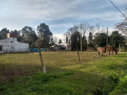 Imagen 5 de 7 de Terrenos En Venta Barrio San Jacinto