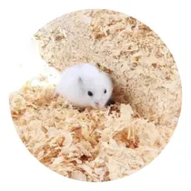 Comprar Viruta De Madera Cama Animales, Anchetas, Relleno X 8 Kg
