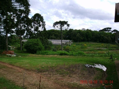 Imagem 22 de 30 de Chácara Residencial À Venda, Planta Laranjeiras, Piraquara. - Ch0012 - 32836441