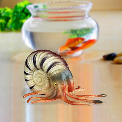 Figuras De Para Acuario, Paisajismo, Modelo De Marrón
