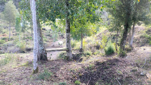 Excelente Terreno Río Blanco, Maihue, Futrono