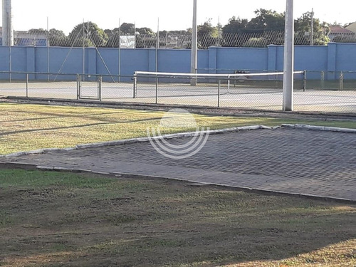 Imagem 8 de 16 de Terreno À Venda Em Cascata - Te006805