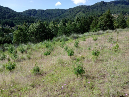 Terreno En Venta Municipio De Aquixtla, Puebla