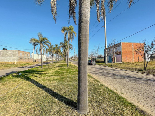 Imagen 4 de 10 de Lote Imperdible Sobre Boulevard Principal