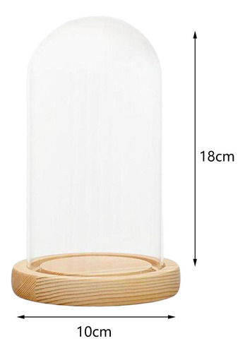 Cúpula Cloche Bell Jar Base De Madeira Sobremesa Estilo H