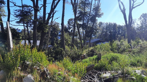Imagen 6 de 22 de Venta Lote 1700 M2 En Bosque Villa La Angostura