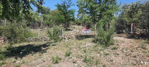 Imagen 4 de 13 de Ref.535.se Vende Lote Sobre Costa De Lago Los Molinos !
