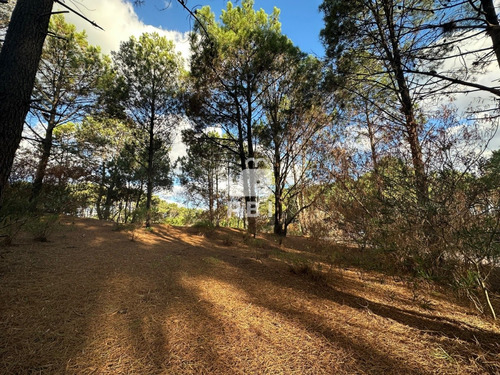 Terreno En Chihuahua, Punta Ballena - Ref : Pbi3048