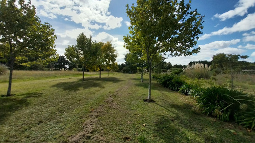 Venta - Casa Quinta En La Peregrina, Sierra De Los Padres