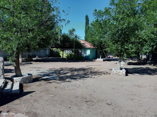 Imagen 12 de 14 de Dos Terrenos En Venta Al Norte De La Cd. Col. Nuevo Triunfo