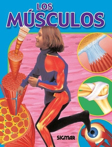 Libro Los Musculos De Cuerpo Y Salud