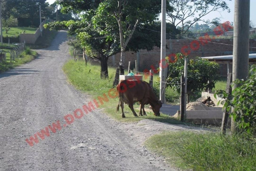 Imagem 3 de 7 de Venda - Chácara - Colina Santa Izabel (tupi) - Piracicaba - Sp - D3745
