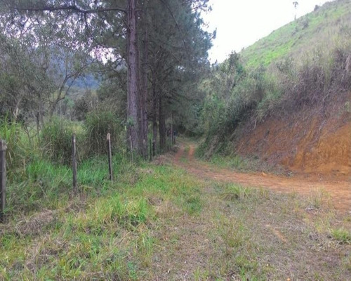 Imagem 11 de 30 de Fazenda - 0195 - 32820324