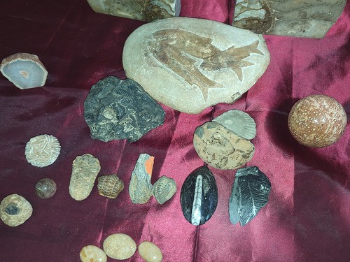 Antiguas Figuras De Piedra Fosil (Usado)