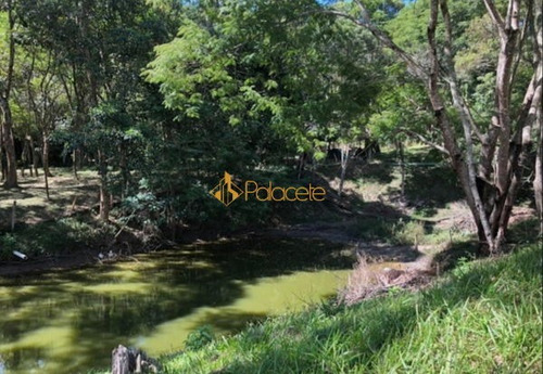 Imagem 12 de 16 de Rural Chacara Com 2 Quartos - 152262-v
