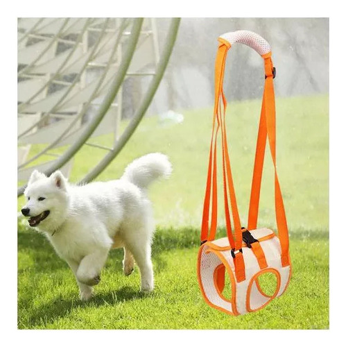 Arnés De Soporte De Cadera For Perros, Patas Traseras Y