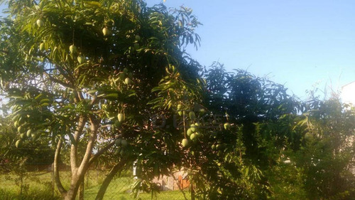 Chácara Com 3 Dormitórios À Venda, 1800 M² Por R$ 690.000,00 - Vale Das Garças - Campinas/sp - Ch0374