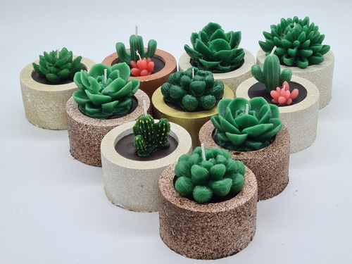 4 Vela Aromatica Cactus Y Suculenta