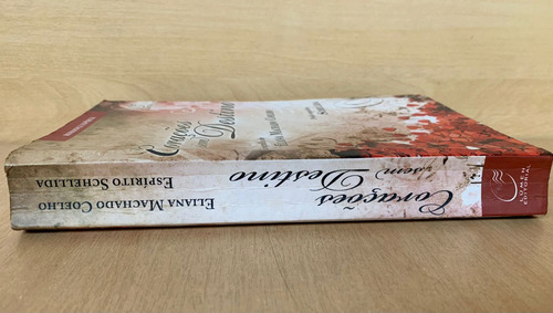 Livro Corações Sem Destino Autor Eliana Machado Coelho Editora Lúmen 3350 (Usado)