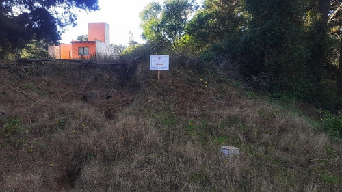 Imagen 2 de 4 de Lote Sobre Nivel De Calle Con Buena Forestación, Mar Azul