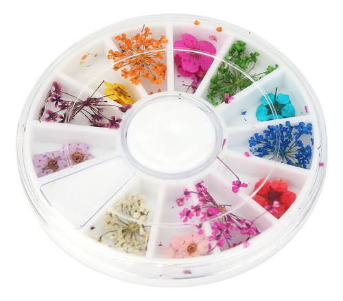 Flores Secas Flores De Uñas Románticas Para Decorar Tu