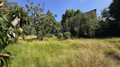 Terreno En Venta En Tlalpan Centro