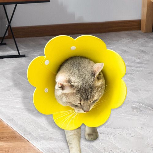 Collar De Cono Para Gato, Cono Isabelino, Práctico Y