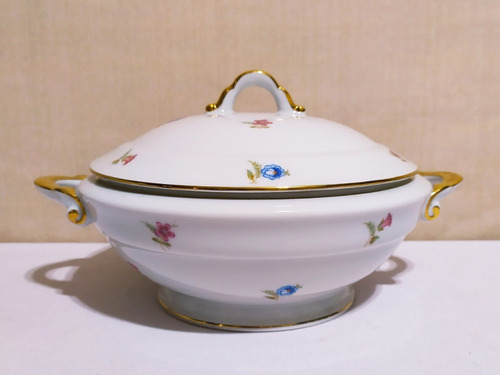 Guisera De Porcelana Limoges Chastagner De 27 X 14 Cm