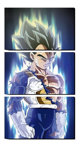 Cuadro Decorativo Triptico Vertical Vegeta