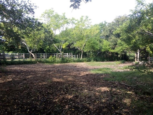 Venta Rancho Ganadero 100 Hectáreas Tamiahua Veracruz