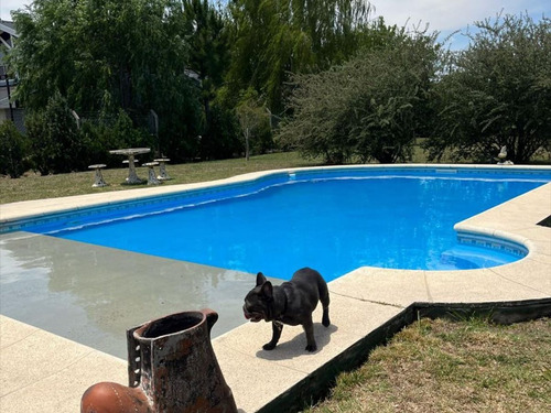 Casa 5 Ambientes Permuta Pileta Quincho Parrilla