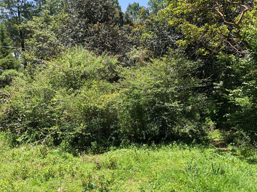 Terreno En Venta En San Cristobal De Las Casas