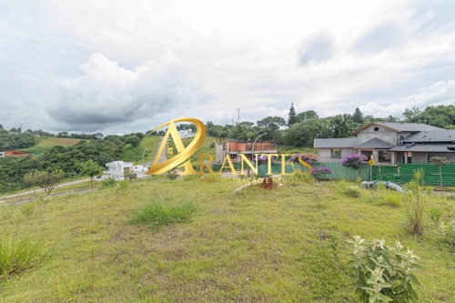 Imagem 7 de 30 de Terreno Em Condomínio - Tc00020 - 70458346