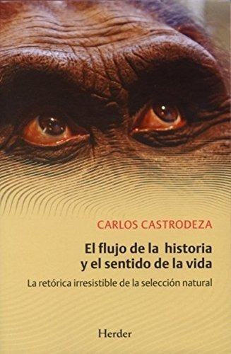 El Flujo De La Historia Y El Sentido De La Vida., De Castrodeza, Carlos. Editorial Herder, Tapa Blanda En Español, 2013