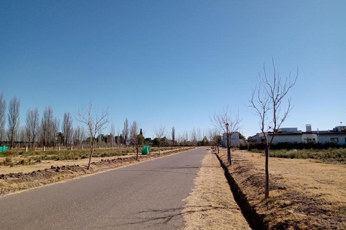 Imagen 18 de 30 de Lotes De 630 M2 - Viñas Del Sur Barrio Privado - Últimos De Manzana Interna